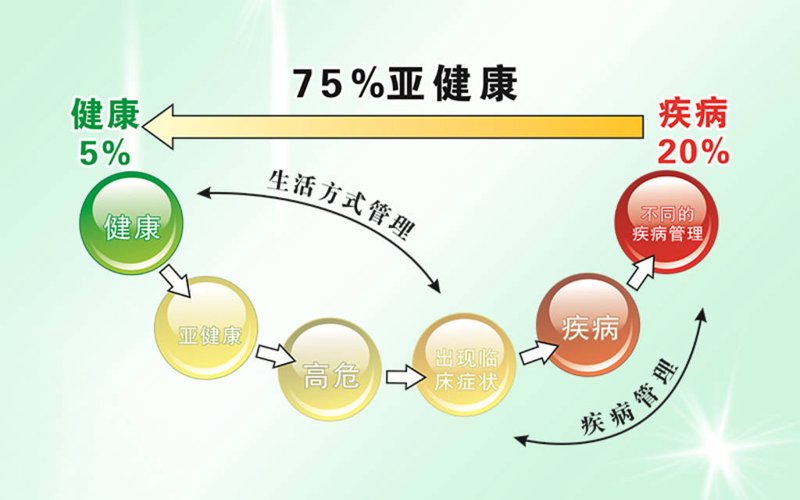 企业健康管理：构建更健康的工作环境
