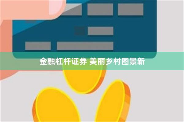 金融杠杆证券 美丽乡村图景新