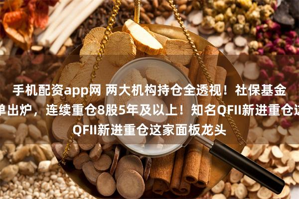 手机配资app网 两大机构持仓全透视！社保基金重仓持股名单出炉，连续重仓8股5年及以上！知名QFII新进重仓这家面板龙头