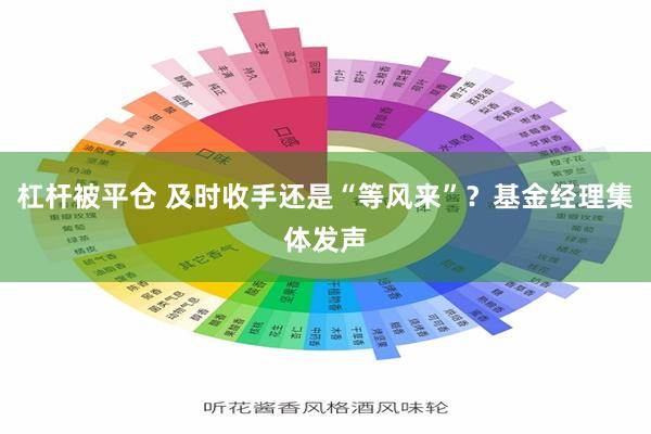 杠杆被平仓 及时收手还是“等风来”？基金经理集体发声