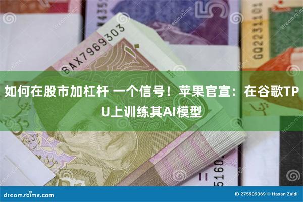 如何在股市加杠杆 一个信号！苹果官宣：在谷歌TPU上训练其AI模型