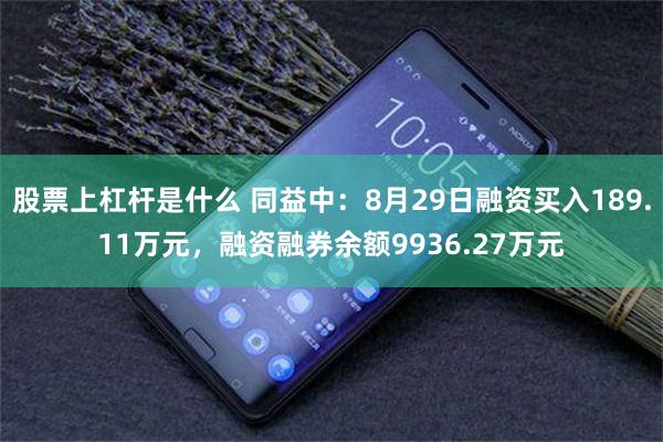 股票上杠杆是什么 同益中：8月29日融资买入189.11万元，融资融券余额9936.27万元