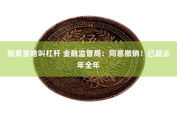 股票里啥叫杠杆 金融监管局：同意撤销！已超去年全年