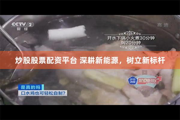 炒股股票配资平台 深耕新能源，树立新标杆