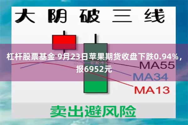 杠杆股票基金 9月23日苹果期货收盘下跌0.94%，报6952元