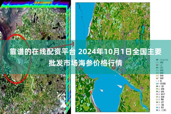 靠谱的在线配资平台 2024年10月1日全国主要批发市场海参价格行情