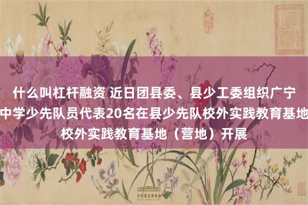 什么叫杠杆融资 近日团县委、县少工委组织广宁县何楮铭纪念中学少先队员代表20名在县少先队校外实践教育基地（营地）开展