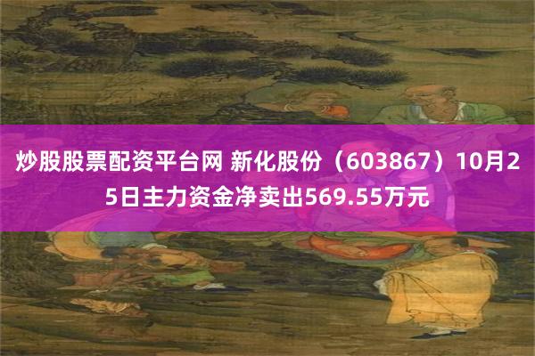 炒股股票配资平台网 新化股份（603867）10月25日主力资金净卖出569.55万元