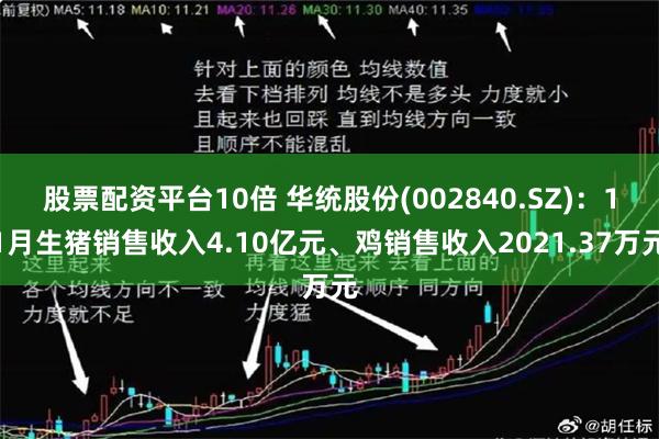 股票配资平台10倍 华统股份(002840.SZ)：11月生猪销售收入4.10亿元、鸡销售收入2021.37万元