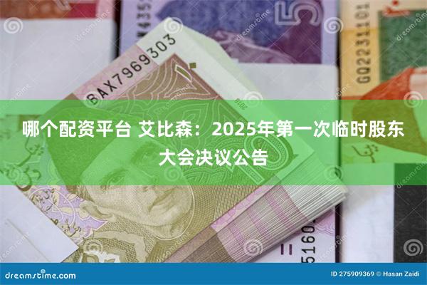 哪个配资平台 艾比森：2025年第一次临时股东大会决议公告