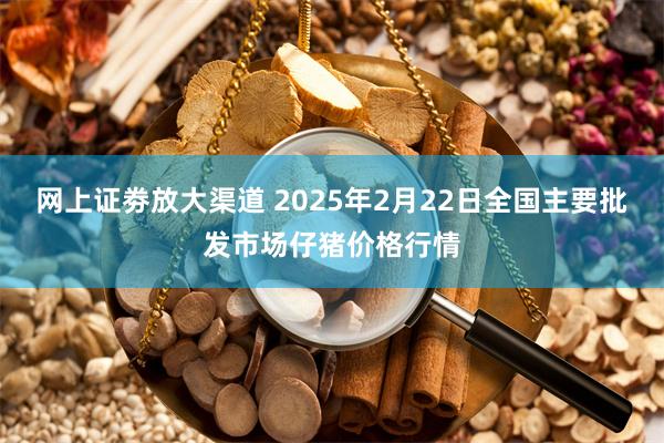 网上证劵放大渠道 2025年2月22日全国主要批发市场仔猪价格行情