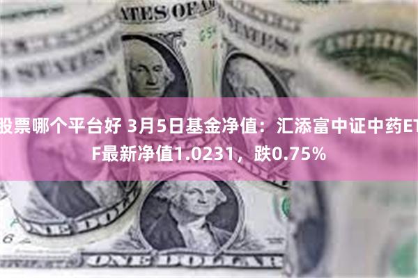 股票哪个平台好 3月5日基金净值：汇添富中证中药ETF最新净值1.0231，跌0.75%