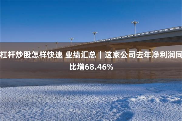 杠杆炒股怎样快速 业绩汇总｜这家公司去年净利润同比增68.46%