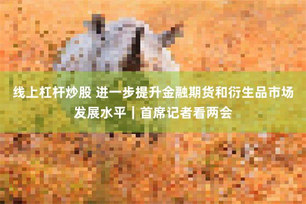 线上杠杆炒股 进一步提升金融期货和衍生品市场发展水平｜首席记者看两会