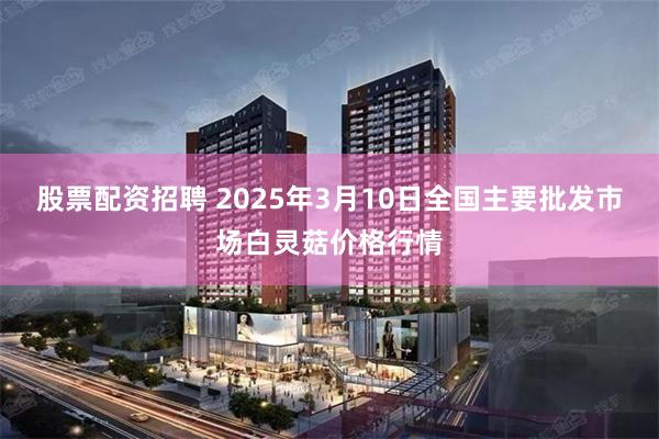 股票配资招聘 2025年3月10日全国主要批发市场白灵菇价格行情