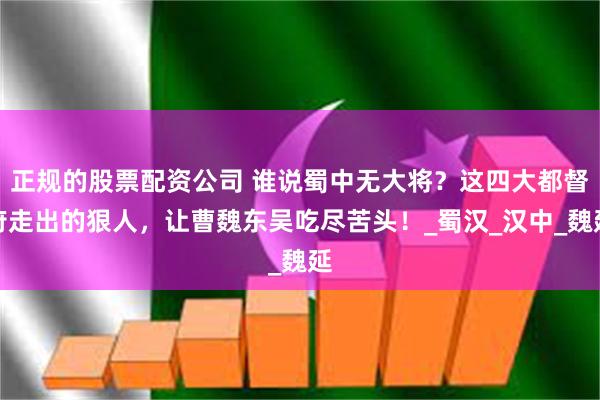 正规的股票配资公司 谁说蜀中无大将？这四大都督府走出的狠人，让曹魏东吴吃尽苦头！_蜀汉_汉中_魏延